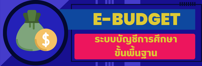 E Budget