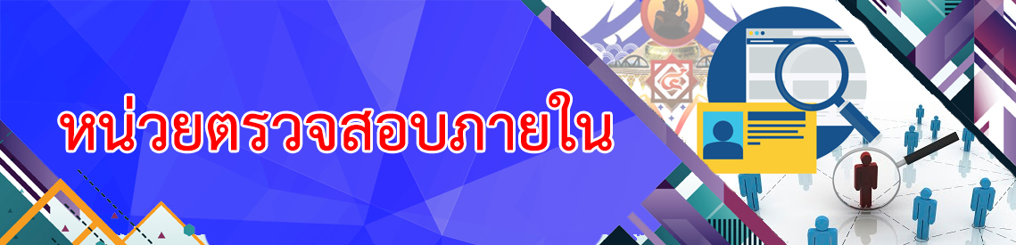 ตรวจสอบภายใน11